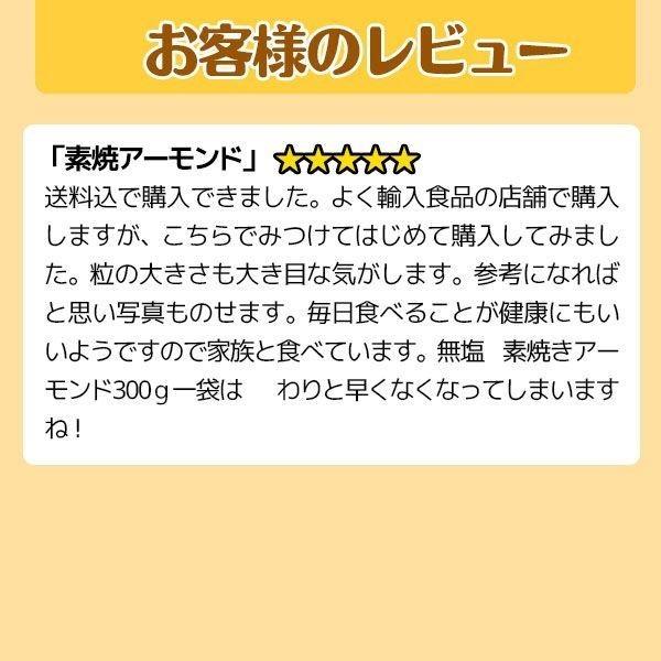 ナッツ セール アーモンド ナッツ 生 アーモンド 無添加 500g 訳あり 送料無料