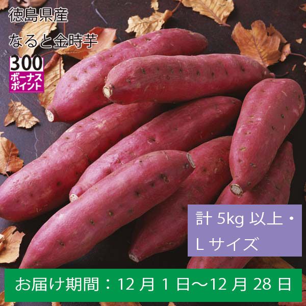 徳島県産なると金時芋計５Kg以上・Ｌサイズ