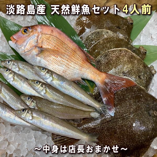 淡路島産天然鮮魚セット4人前