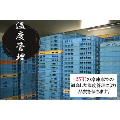 ふるさと納税 江府町 冷凍 生ずわいがに 4Lサイズ 7〜8肩 約3kg かに ズワイガニ 3キロ 0958