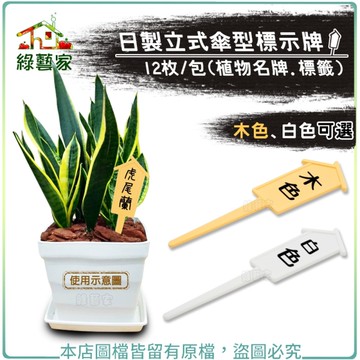 【綠藝家】日製立式傘型標示牌12枚/包 (木色、白色可選)植物名牌.標籤