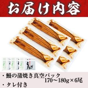 ふるさと納税 うなぎの大楠＜特大＞6尾セット計1kg超(170g×6) d5-001 鹿児島県志布志市