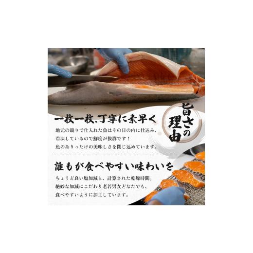 ふるさと納税 秋田県 にかほ市 《定期便》11ヶ月連続 干物セット 10品程度(5〜8種)「秋田のうまいものセットA」