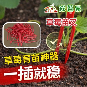【綠藝家】紅色草莓苗叉100克 壓蔓夾 草莓叉｜草莓育苗神器 一壓即定 生根率大爆發｜走莖固定夾