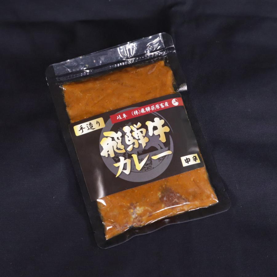 飛騨牛 カレー 中辛 5パック セット 国産 和牛 ブランド 食べ比べ 手作り ギフトボックス付き wagyu ギフト