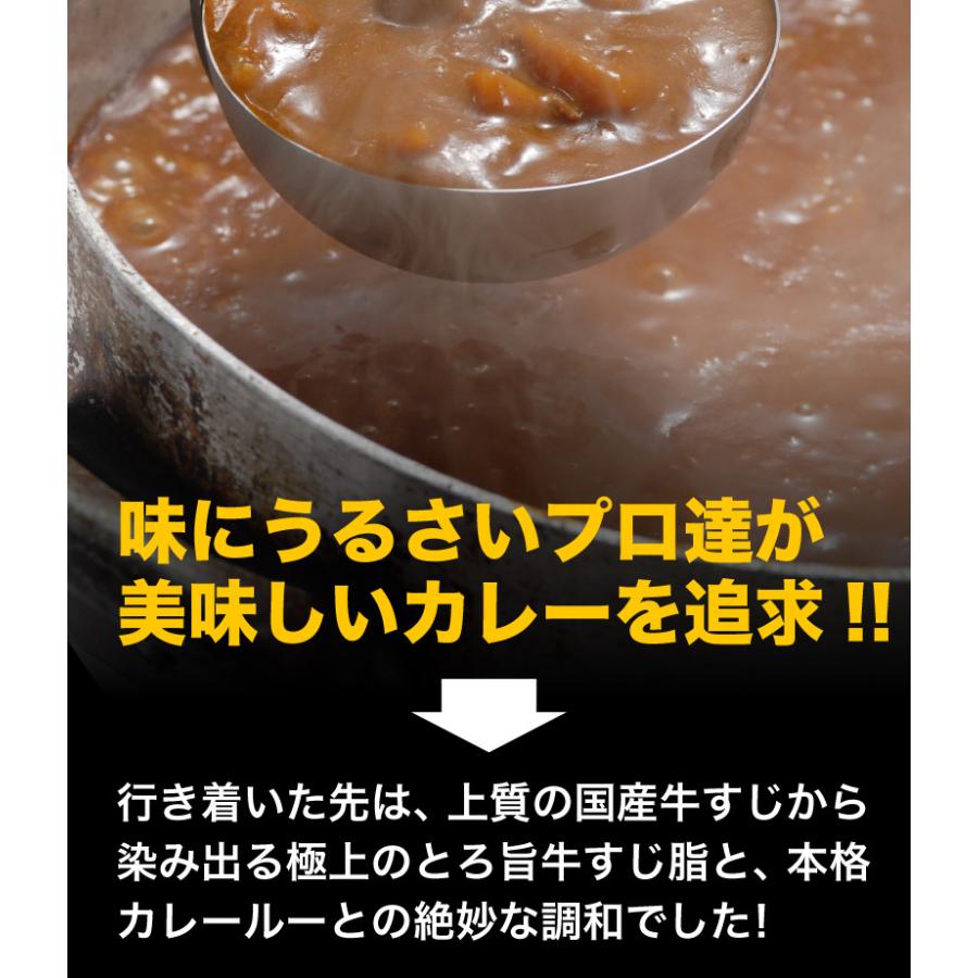 極旨牛すじカレー 4食 九州産黒毛和牛 A等級牛すじ使用 本格カレールー 自然素材 独自ブレンド 湯煎 簡単調理 時短 メール便送料無料