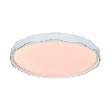 48W遙控吸頂燈 B236-58-102-1