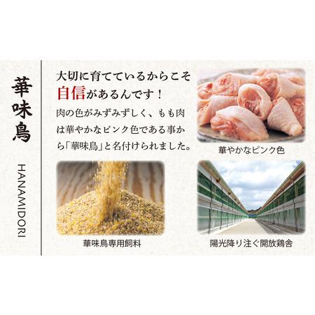 ふるさと納税 博多華味鳥 水炊きセット（3〜4人前） 柚胡椒付　HS-A1【水炊き 肉 鶏 水炊き お肉 水炊き とりにく 水炊き 有名店 水炊き 食品 福.. 福岡県大川市