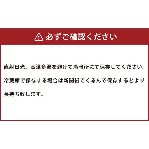 ふるさと納税 北海道 北広島市  北海道 北広島産 ニンニク 約1kg 野菜