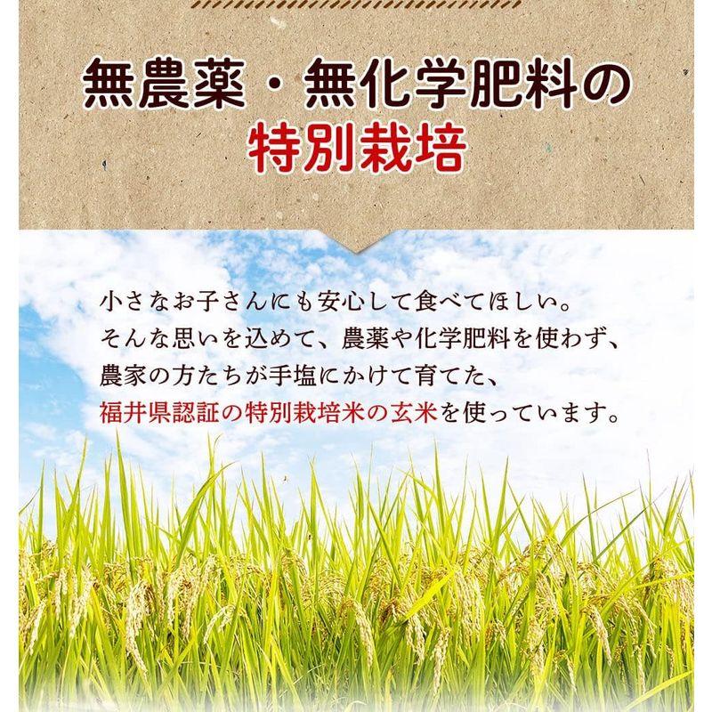 玄米ごはん レトルトエコパック 福井県産 無農薬・無化学肥料米使用 200g×10袋