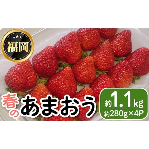 ふるさと納税 福岡県 春日市 ＜先行予約受付中・数量限定＞2024年3月からお届け！春のあまおう(約280g×4P・計1.12kg)＜離島配送不可＞【ベジフル…