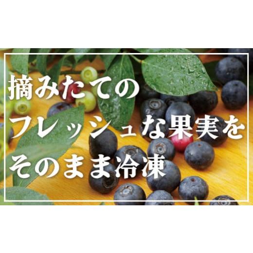 ふるさと納税 長崎県 佐世保市 C152 冷凍ブルーベリー「あいあいの雫」1,200g