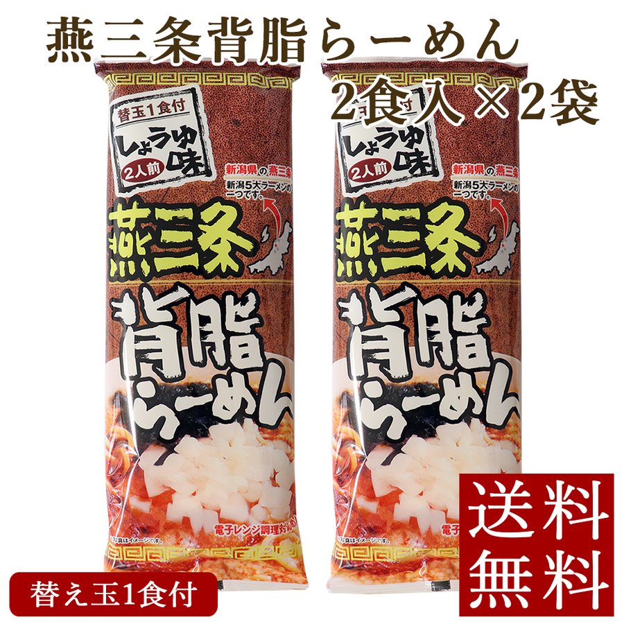 燕三条背脂らーめん 2食入×2袋 メール便 新潟ラーメン 乾麺 送料無料 ポイント消化