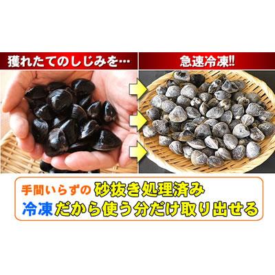 しじみ 500g しじみ 味噌汁 ギフト 北海道 網走湖産 砂抜き済 しじみ汁 お取り寄せ グルメ オホーツク 網走 プレゼント 誕生日祝 御祝 御礼 内祝