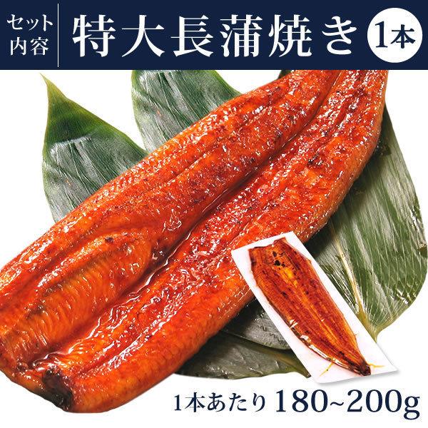 お歳暮 ギフト 2023 うなぎ 国産 プレゼント 土用の丑の日 蒲焼き 食べ物 誕生日 お祝い 送料無料 ウナギ 鰻 お年賀 御歳暮 御年賀 風呂敷 FA 2〜3人用 AA