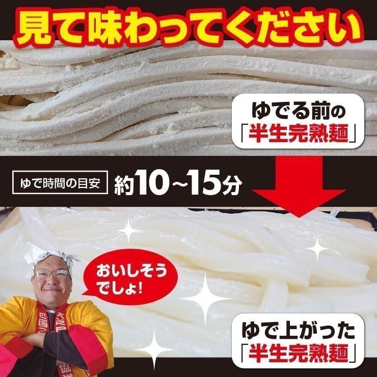 20時間熟成  半生 細麺 讃岐うどん つゆ付きセット 便利な個包装 750g 送料無料 最安値挑戦 得トクセール 特産品