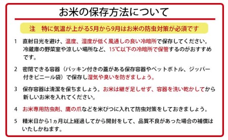 令和5年産ゆめぴりか 20kg 精米 北海道 共和町