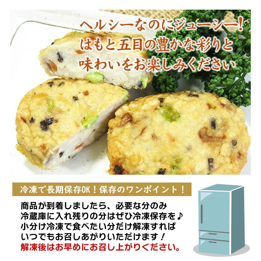 送料無料 はも五目揚げセット 20枚入り 練り物 練製品 はも 魚肉 五目揚げ 長崎 おやつ 夕食 酒 つまみ 長崎杉蒲 （北海道・沖縄別途送料）