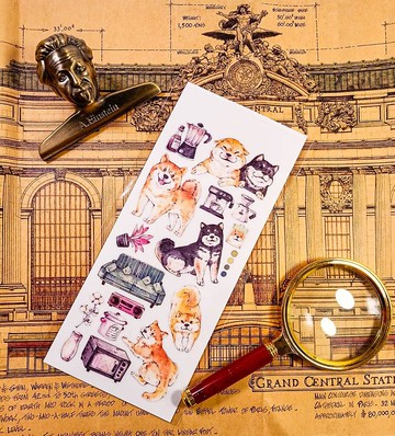 KR475柴犬的日常_Shiba Inu B