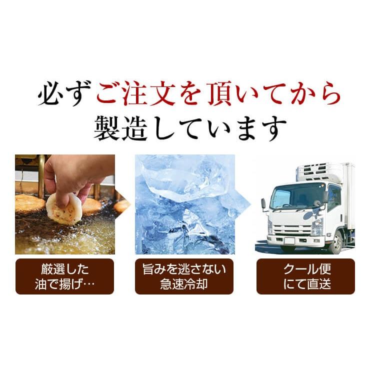 お試し  送料無料 さつま揚げ 揚立屋  ネット限定  鹿児島