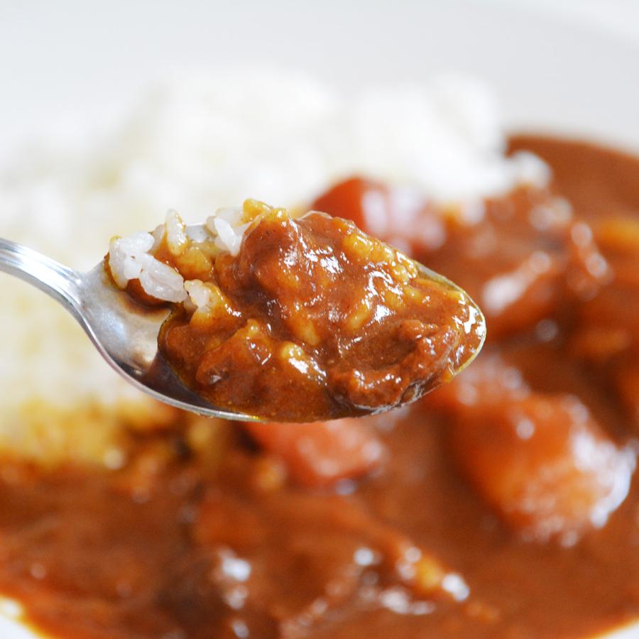 東京カレー 4食分 牛肉 カレー ビーフカレー レトルト 惣菜 おかず 昼食 夕食 食肉専門店 東京 伊勢重