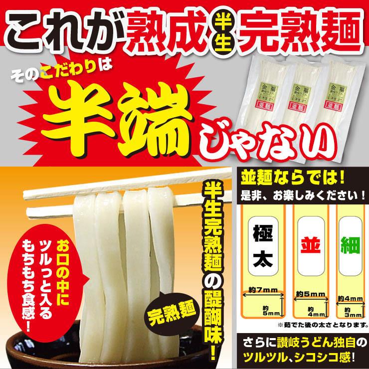 20時間熟成  半生 並麺 讃岐うどん つゆ付きセット 便利な個包装 750g 送料無料 最安値挑戦 得トクセール 特産品