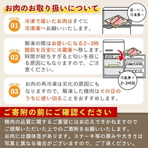 鹿児島黒牛肩ロースすき焼き用(400g)黒牛 和牛 牛肉 A-400