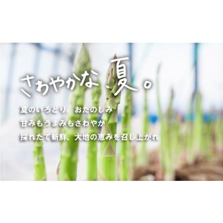 ふるさと納税 北海道産「夏採れ！北海道アスパラガス」1.4kg 北海道栗山町