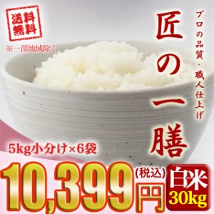 匠の一膳 ブレンド米 30kg(5kg×6個) 国内産複数原料米 送料無料 ※沖縄県・離島対応不可