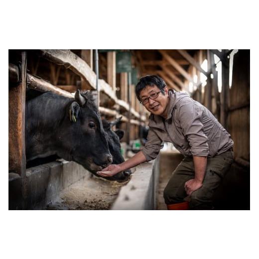 ふるさと納税 愛知県 豊田市 氷温熟成　黒毛和牛ゆたか牛焼肉