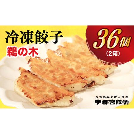 ふるさと納税 　餃子18個入り×2箱 栃木県宇都宮市