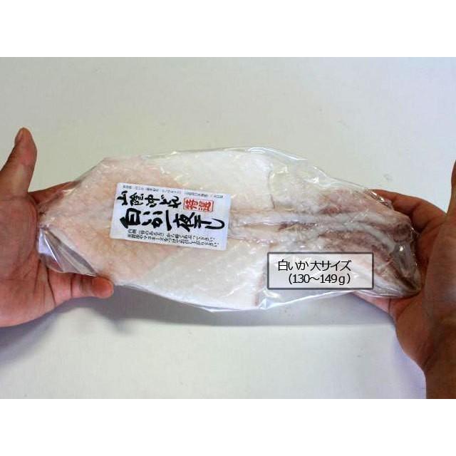 白いか（ケンサキイカ）90g 干物（単品） お取り寄せグルメ  山陰沖日本海産（鳥取県・島根県産）