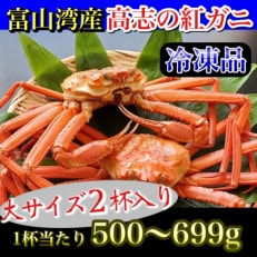 魚卸問屋のベニズワイガニ　500g～600g級×2杯