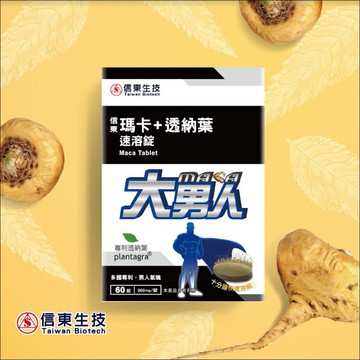 信東大男人 瑪卡+透那葉速溶錠60錠