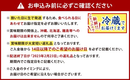  とらふぐ 刺身 ・ ふぐ鍋 セット 白子付き (4～5人前) ふぐ フグ