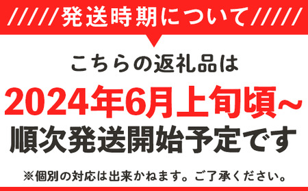 12-24茨城県産大玉すいか2玉セット（約5～7kg 玉）