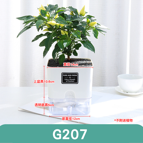 G7 花盆磁吸自吸水透明花盆花器盆栽容器園藝懶人花盆簡單易養綠意花藝 Yahoo奇摩超級商城 Line購物