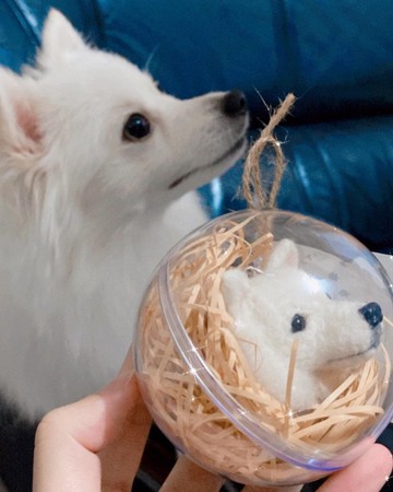 客製大頭鑰匙圈-白博美