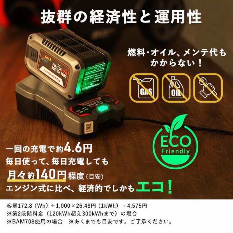 ハイガー公式 充電式電動除雪機（大容量バッテリー48V2個＋急速
