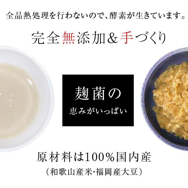 おまかせ 無農薬 旬野菜セット10種類以上と手づくり塩麹［送料無料］■期日指定不可・翌日受取限定 ※時間指定にご注意ください■