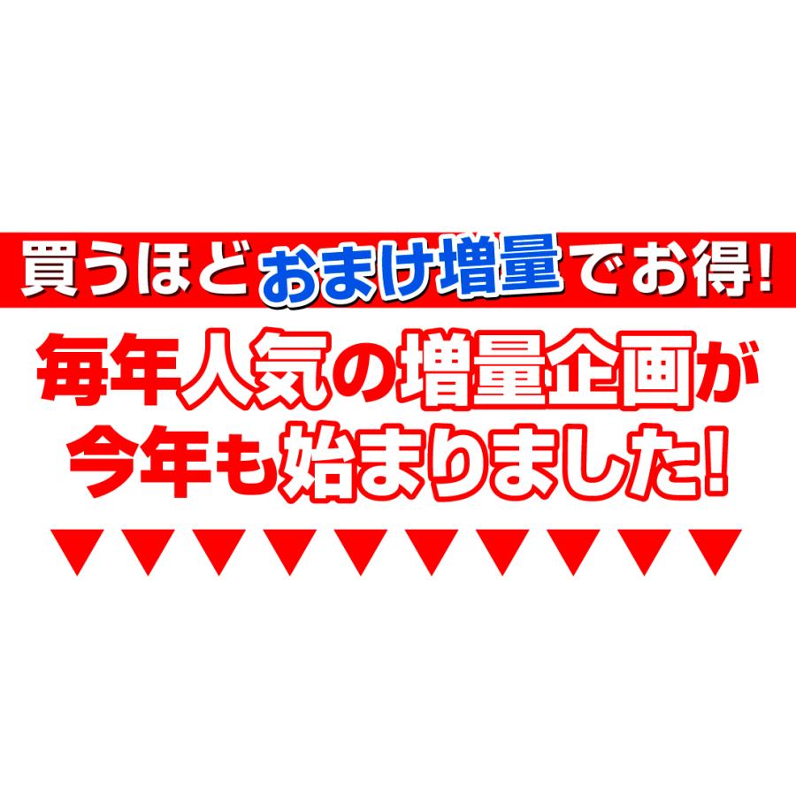 みかん 熊本みかん 1kg ご家庭用 熊本産 送料無料 2セット目から増量あり S〜2L混合 増量特典 ポイント消化 フルーツ 果物 国華園