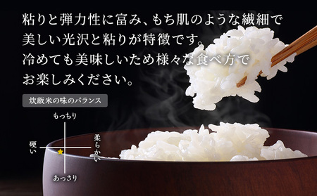 令和5年産 あきたこまち 精米 5kg×1袋 秋田県 男鹿市 秋田食糧卸販売