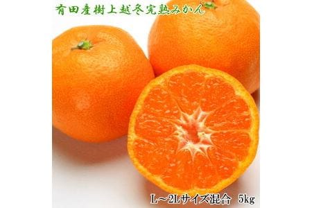 有田産樹上越冬完熟みかん5kg（L～2Lサイズ混合・赤秀） ※2024年1月下旬～2月中旬頃に順次発送予定 ※着日指定不可