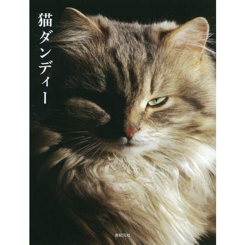 [本 雑誌] 猫ダンディ新紀元社