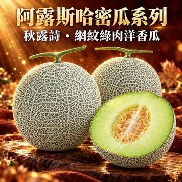 農友種苗 阿露斯網紋綠肉洋香瓜 哈密瓜種子 洋香瓜種子 甜瓜種子 秋露詩 冬露詩 耐低溫 阿露絲 阿露斯種子