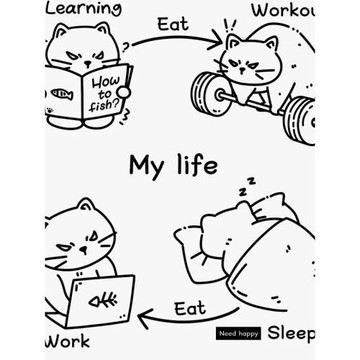 【看書四點一線貓】健身趣味卡通設計感重磅純棉短袖寬松半袖T恤