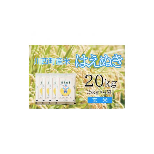 ふるさと納税 山形県 川西町 はえぬき20kg　玄米　真空パック詰