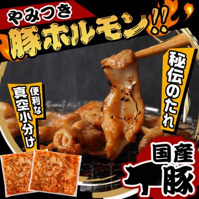 ふるさと納税 都城市 やみつき豚ホルモン!3kg!真空小分けパック!