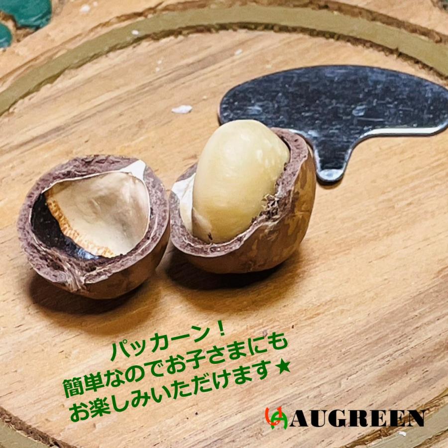 ベトナム産マカダミアナッツ殻つき 250g DAKADO 密閉 マカデミアナッツ 健康 美容 無塩 無添加 殻割器付 お土産 海外旅行 おつまみ おやつ 菓子 おうち時間