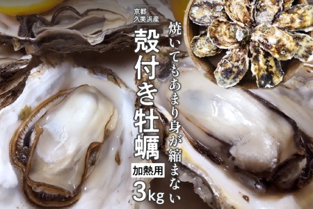 京都・久美浜産 殻付き牡蠣 3kg（30個前後）牡蠣ナイフ付